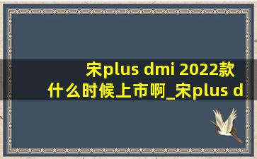 宋plus dmi 2022款什么时候上市啊_宋plus dmi 2024款什么时候上市